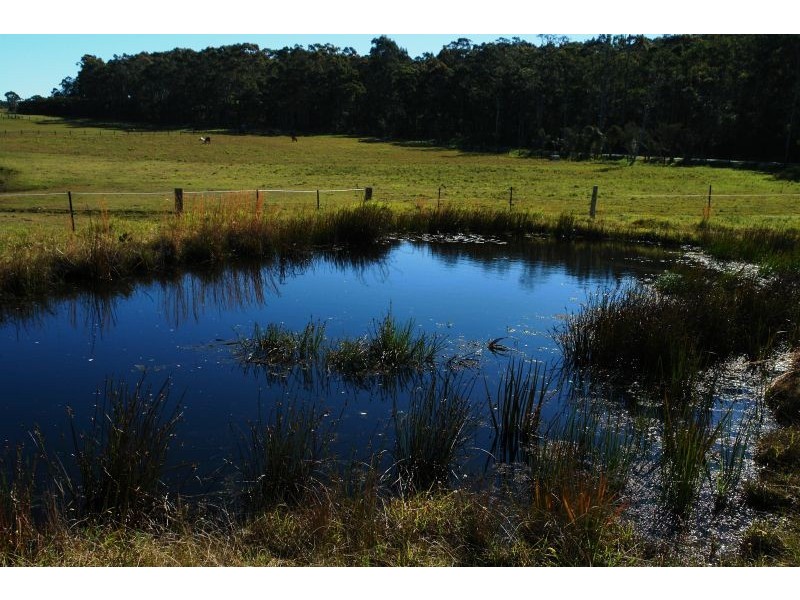 58 Dickson Road, Jilliby NSW 2259