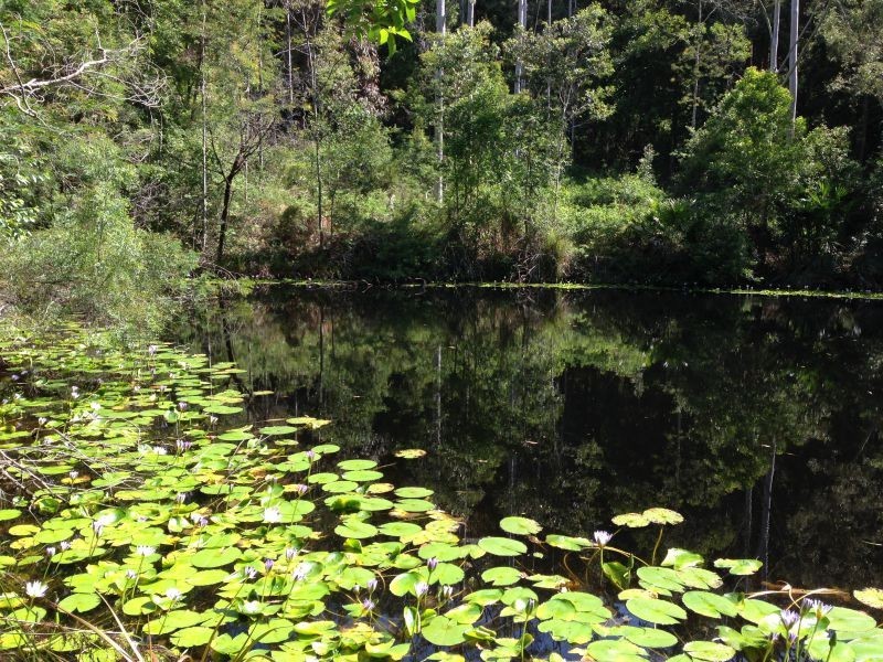 490 Brush Road, Fountaindale NSW 2258