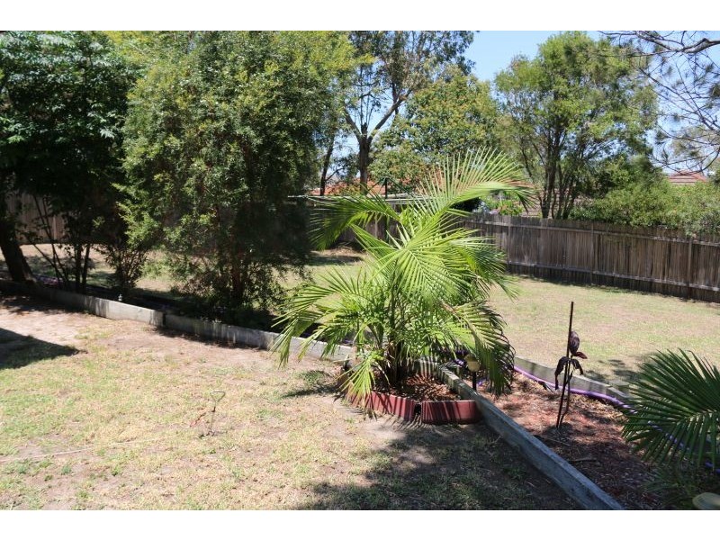 11 Daintree Crescent, Blue Haven NSW 2262