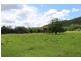 Lot A, 1121 Yarramalong Road, Wyong Creek NSW 2259