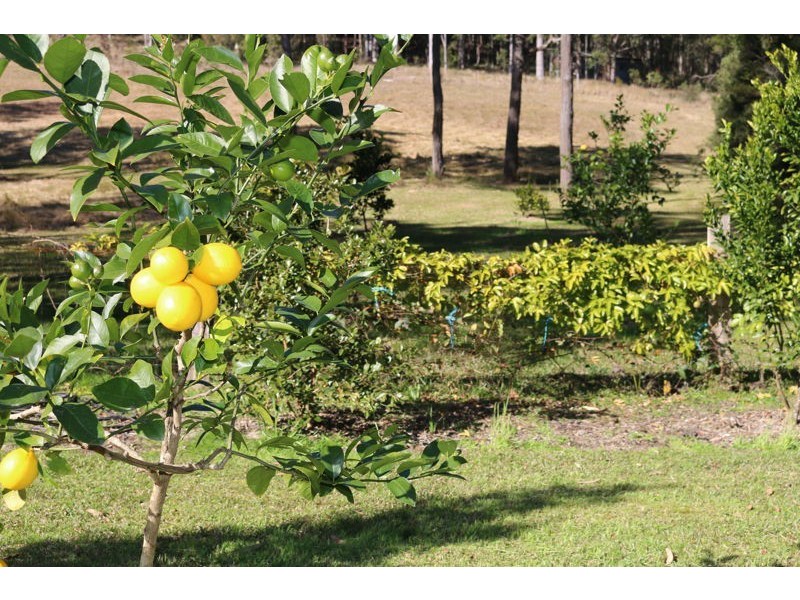 305 Smiths Road, Dooralong NSW 2259