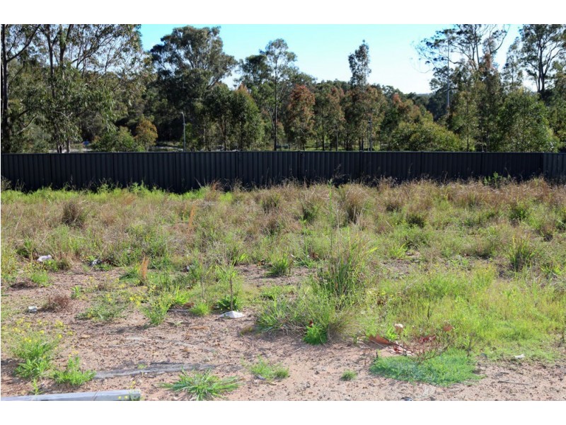 50 Raintree Terrace, Wadalba NSW 2259