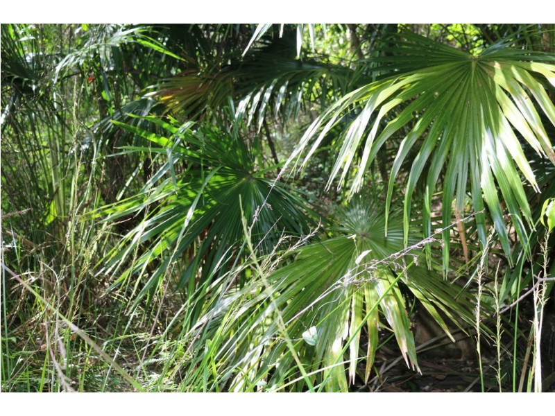 111 Schofield Road, Wyee NSW 2259