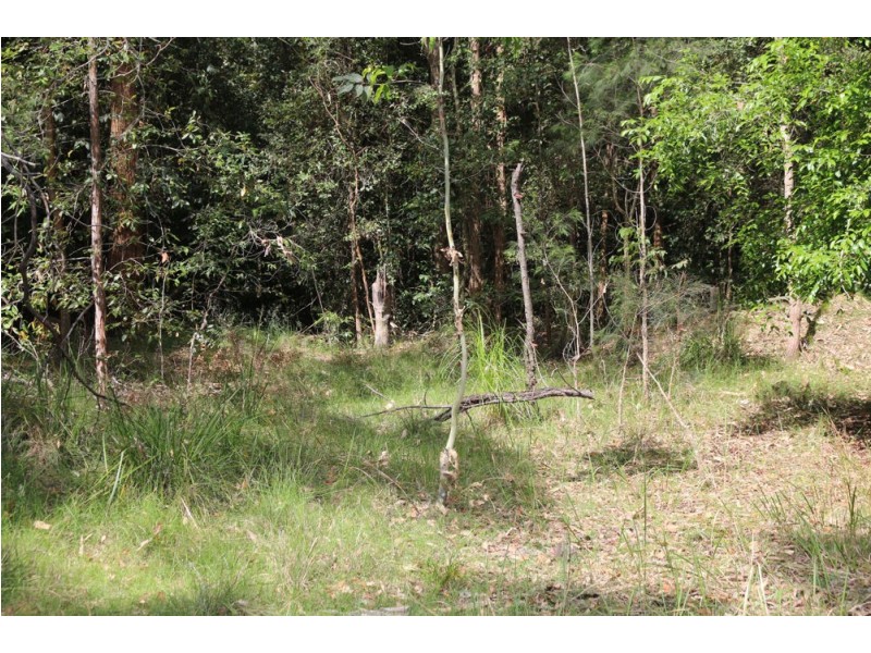 111 Schofield Road, Wyee NSW 2259