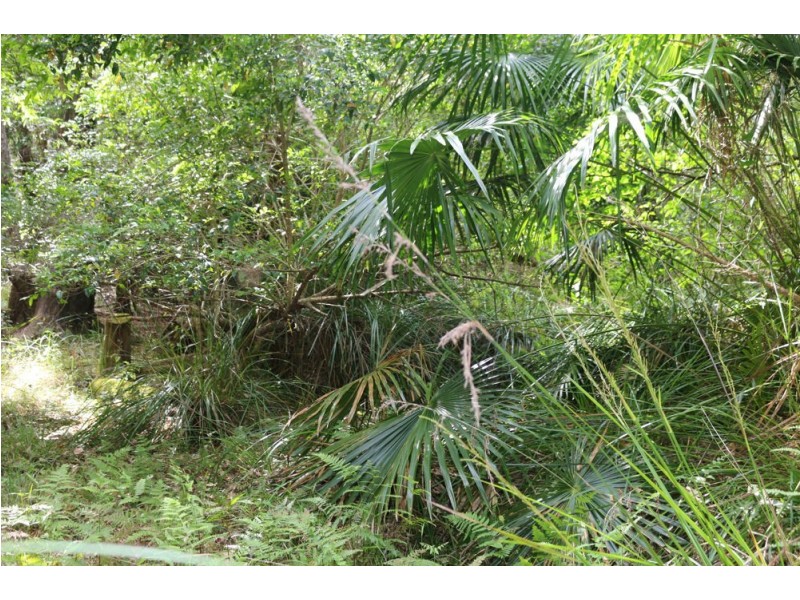 111 Schofield Road, Wyee NSW 2259