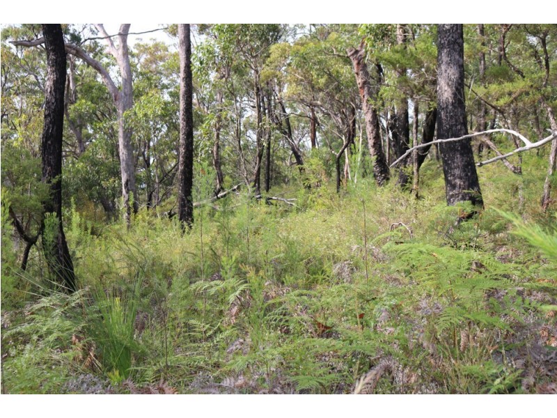 43 Walkers Ridge Road, Kulnura NSW 2250