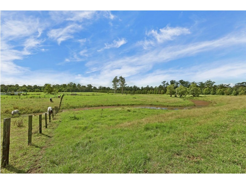 309 Yarramalong Road, Wyong Creek NSW 2259