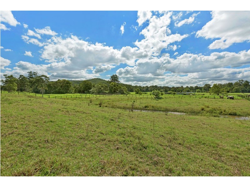 309 Yarramalong Road, Wyong Creek NSW 2259