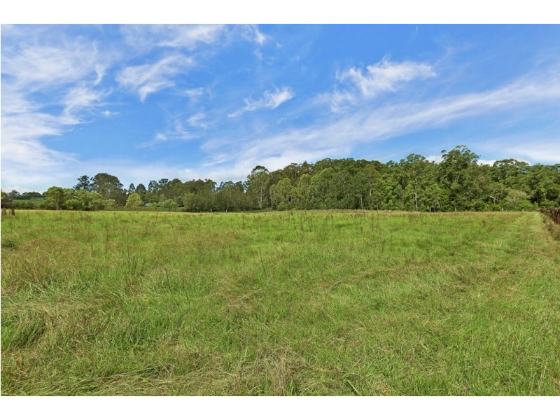 309 Yarramalong Road, Wyong Creek NSW 2259