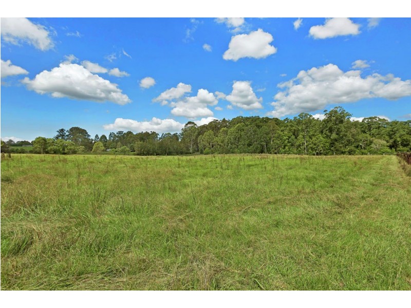 309 Yarramalong Road, Wyong Creek NSW 2259