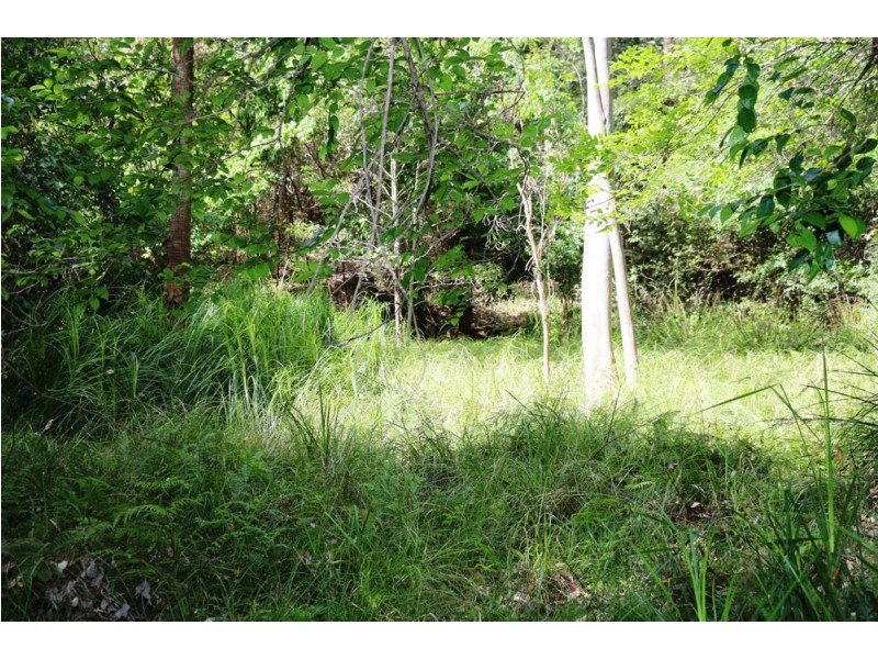 111 Schofield Road, Wyee NSW 2259