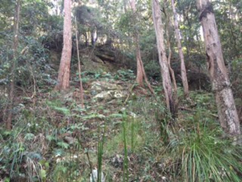 111 Schofield Road, Wyee NSW 2259