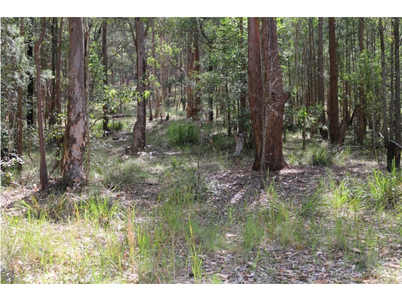 111 Schofield Road, Wyee NSW 2259