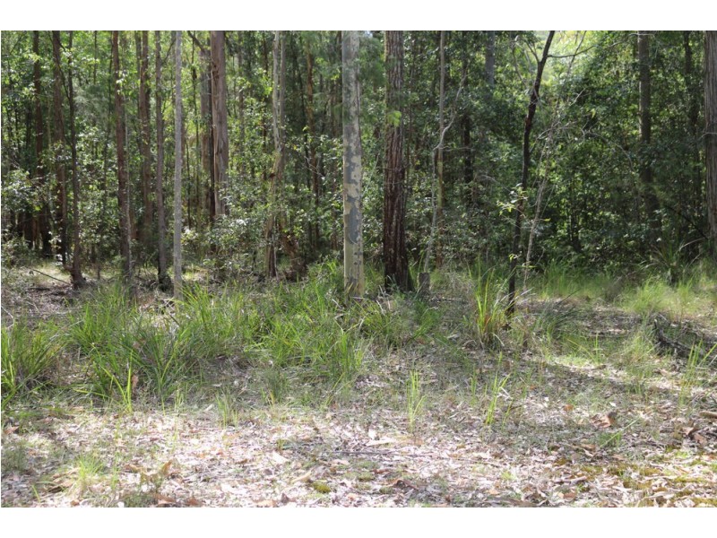 111 Schofield Road, Wyee NSW 2259