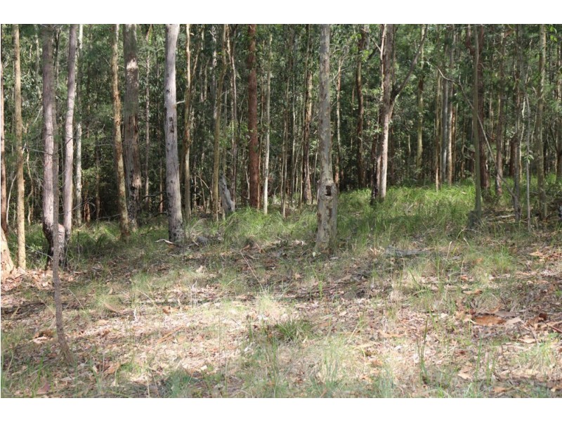 111 Schofield Road, Wyee NSW 2259