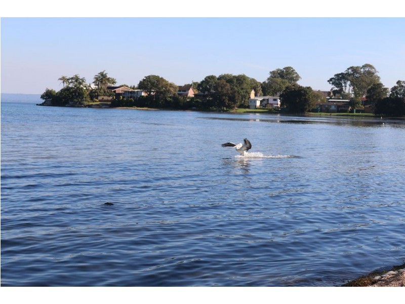 24 Winbourne Street, Gorokan NSW 2263