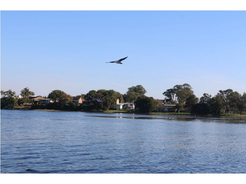 24 Winbourne Street, Gorokan NSW 2263