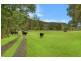 324 Brush Creek Road, Cedar Brush Creek NSW 2259
