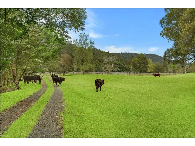 324 Brush Creek Road, Cedar Brush Creek NSW 2259