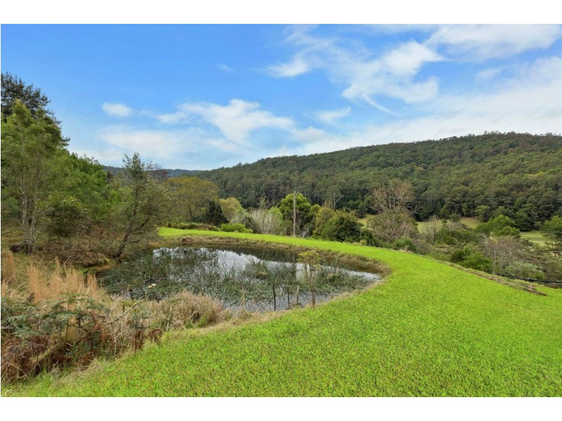 324 Brush Creek Road, Cedar Brush Creek NSW 2259