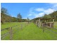 324 Brush Creek Road, Cedar Brush Creek NSW 2259