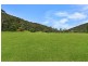 324 Brush Creek Road, Cedar Brush Creek NSW 2259