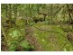 324 Brush Creek Road, Cedar Brush Creek NSW 2259