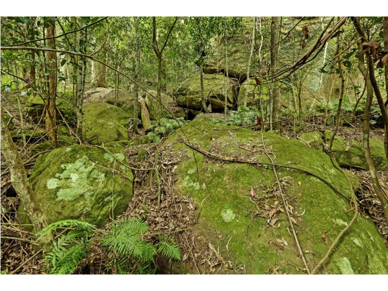 324 Brush Creek Road, Cedar Brush Creek NSW 2259