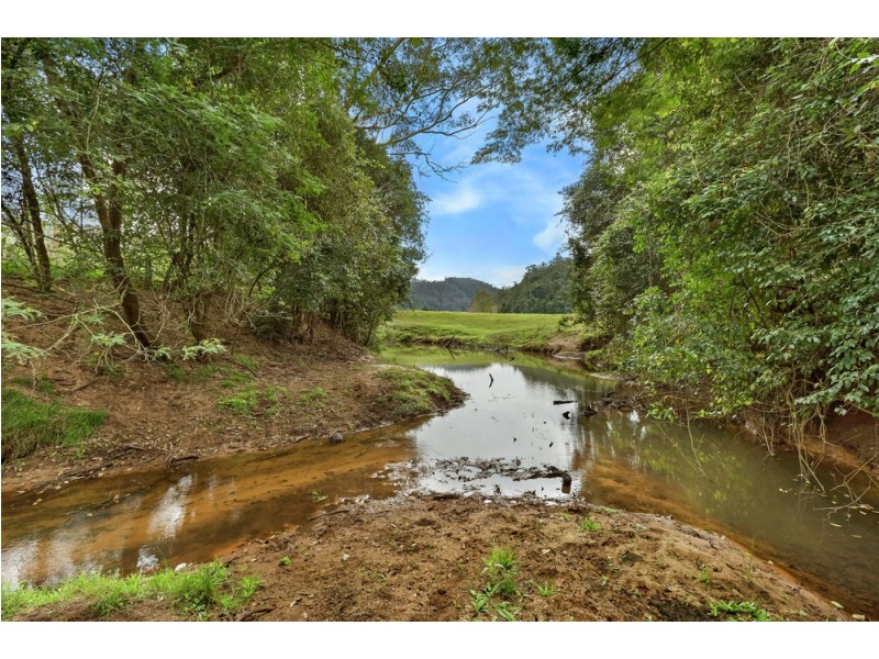 324 Brush Creek Road, Cedar Brush Creek NSW 2259