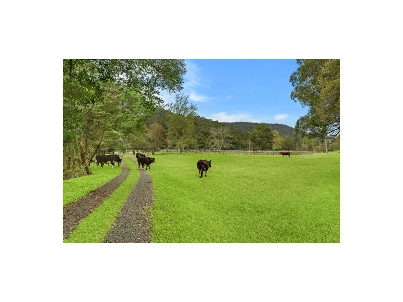 324 Brush Creek Road, Cedar Brush Creek NSW 2259