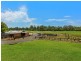105 Yarramalong Road, Wyong Creek NSW 2259
