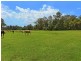 105 Yarramalong Road, Wyong Creek NSW 2259
