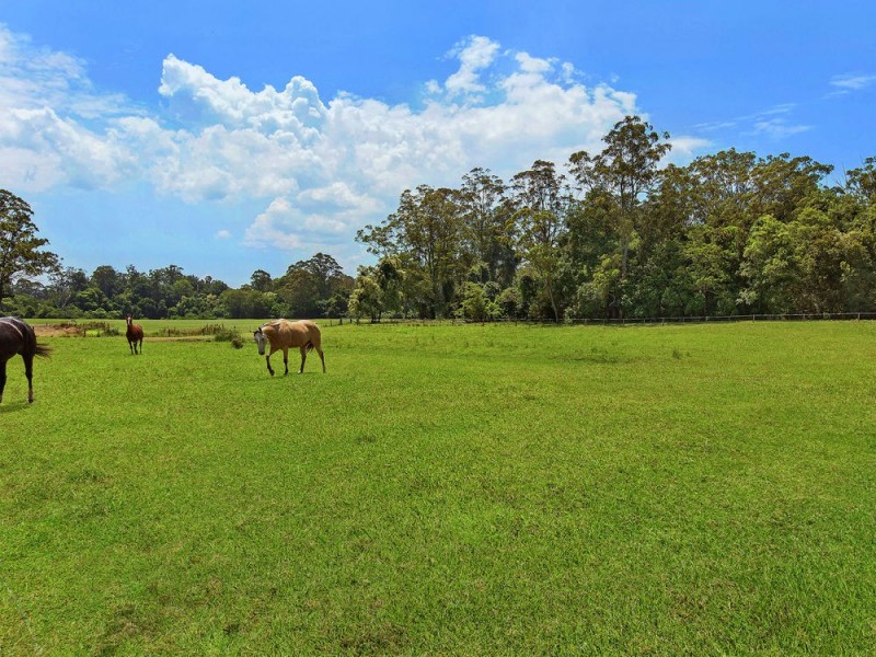 105 Yarramalong Road, Wyong Creek NSW 2259