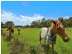 105 Yarramalong Road, Wyong Creek NSW 2259