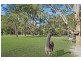 39 Treelands Drive, Jilliby NSW 2259