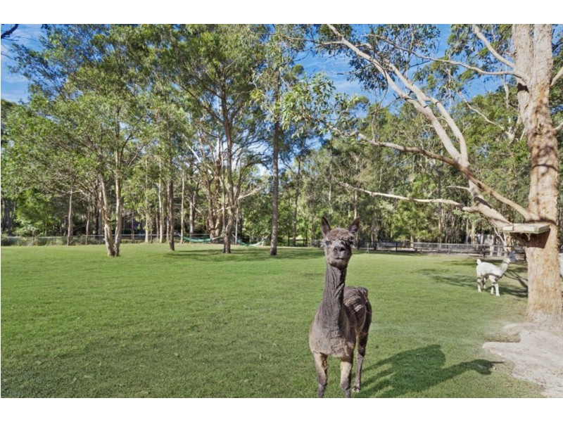 39 Treelands Drive, Jilliby NSW 2259