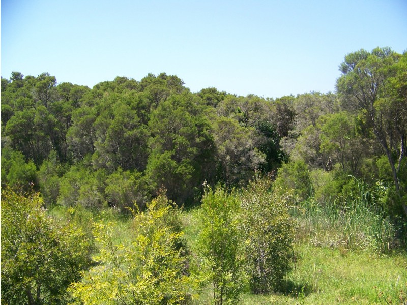 46 Highberry Street, Woongarrah NSW 2259