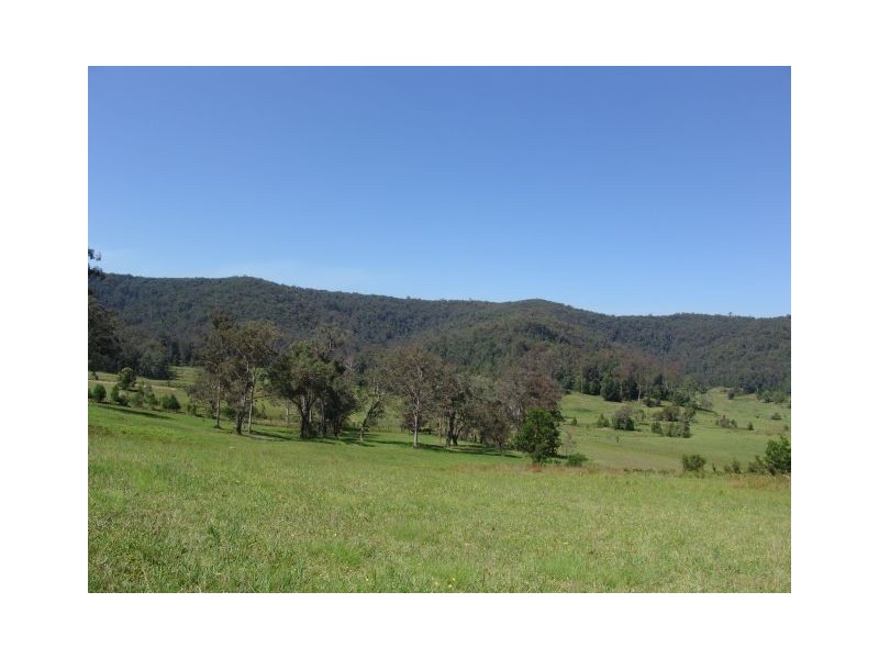1203 Yarramalong Road, Wyong Creek NSW 2259