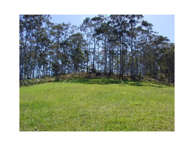 1203 Yarramalong Road, Wyong Creek NSW 2259