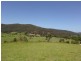 1203 Yarramalong Road, Wyong Creek NSW 2259