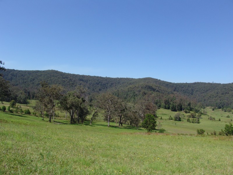 Wyong Creek NSW 2259