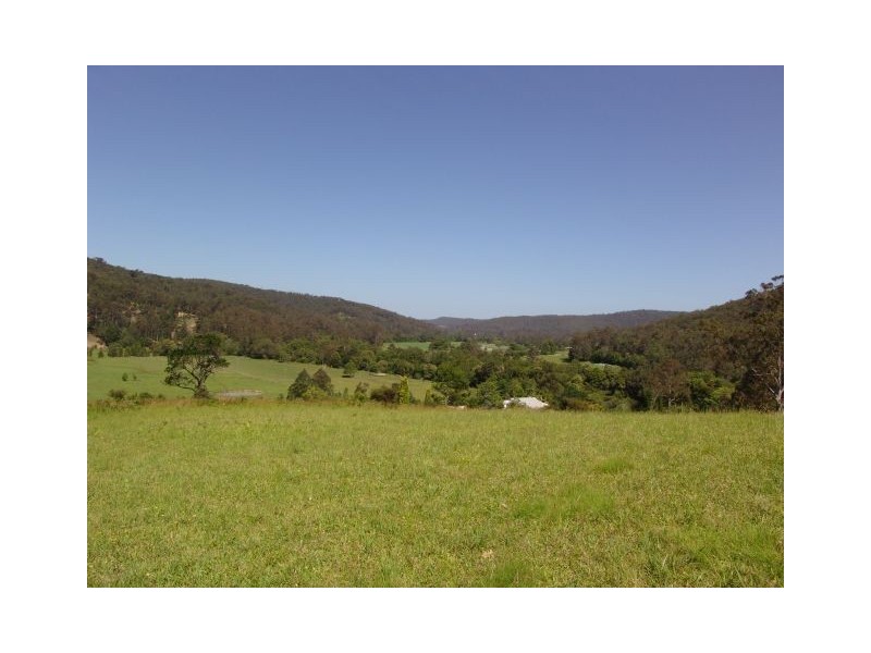 1203 Yarramalong Road, Wyong Creek NSW 2259