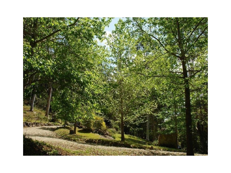 Cedar Brush Creek NSW 2259