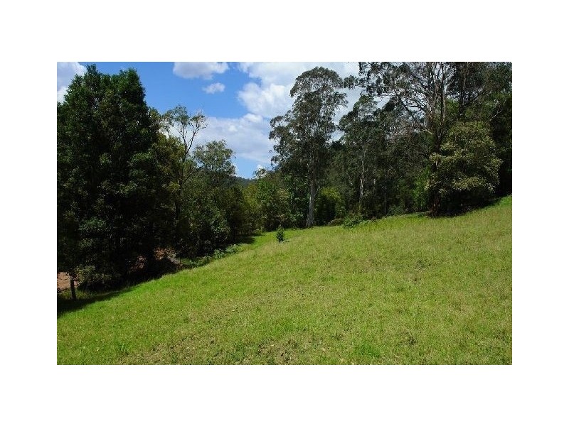 650 Brush Creek Road, Yarramalong NSW 2259