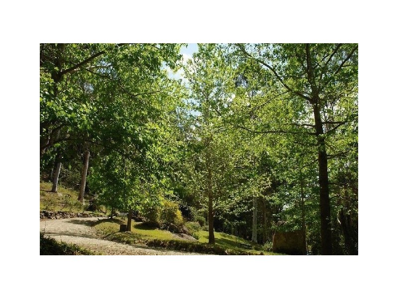 650 Brush Creek Road, Yarramalong NSW 2259