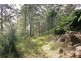 240 Brush Road, Ourimbah NSW 2258
