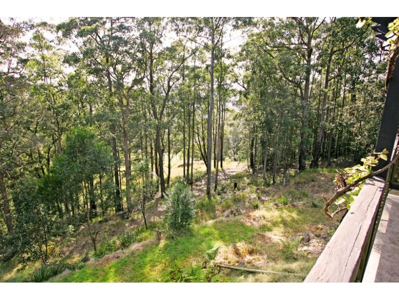 240 Brush Road, Ourimbah NSW 2258