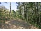 240 Brush Road, Ourimbah NSW 2258