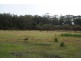 42a Cadonia Road, Tuggerawong NSW 2259