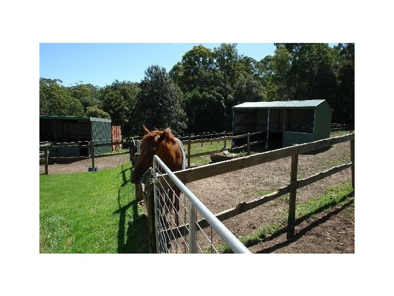 50 Berkeley Road, Glenning Valley NSW 2261